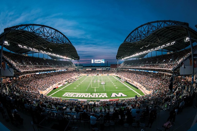 3年的场地 3年的场地