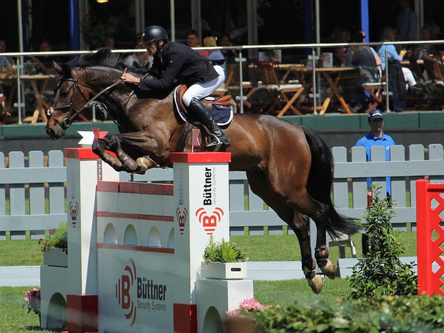 劲的台北组 劲的台北组