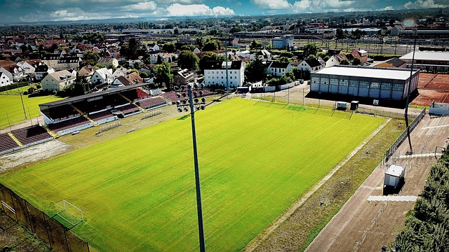 德尔加多奇 德尔加多奇