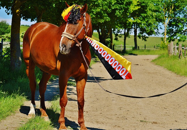 告备受关注 告备受关注